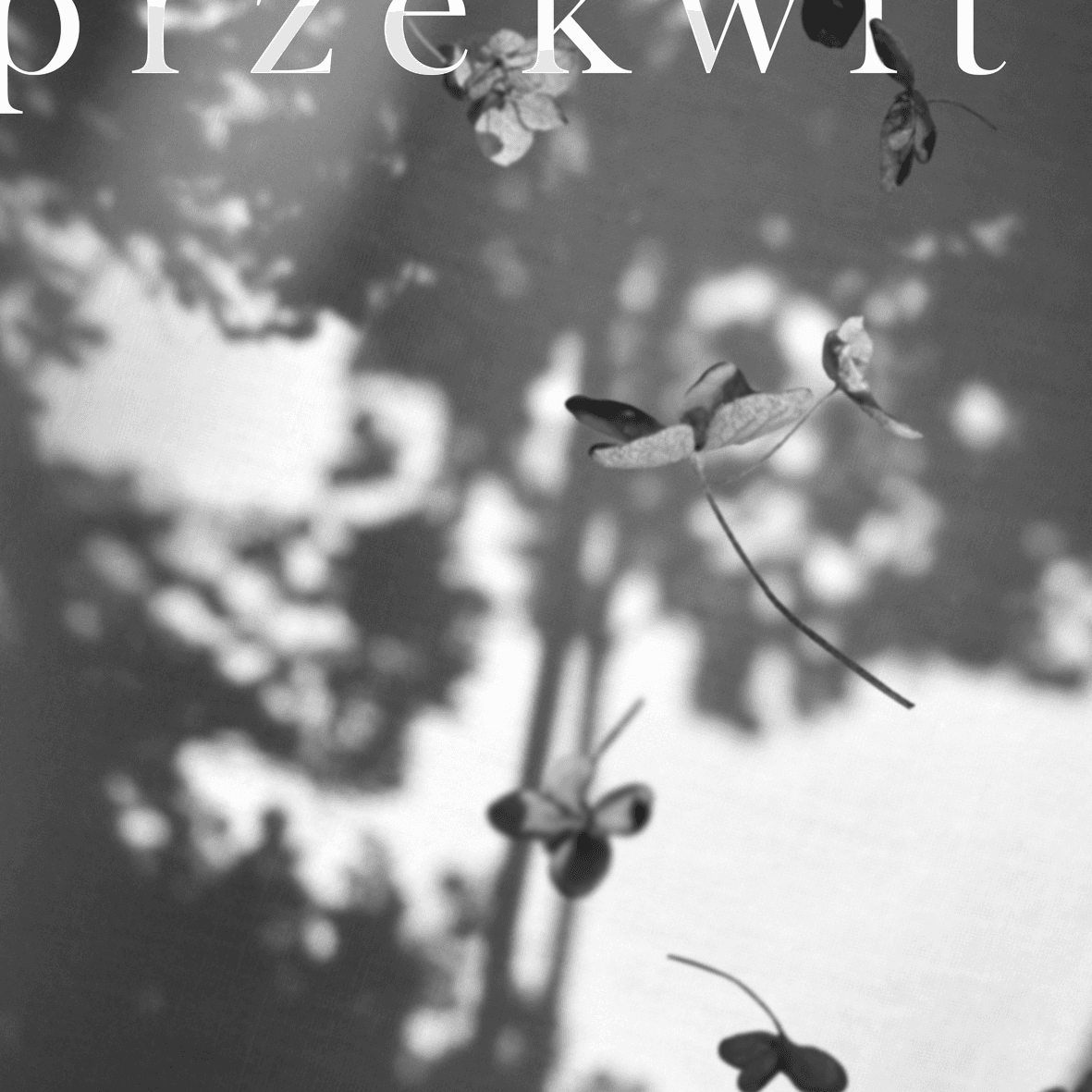 Plakat filmu Przekwit